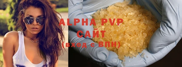ECSTASY Богородицк