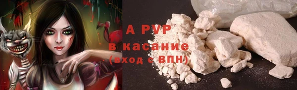 ECSTASY Богородицк