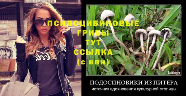 хмурый Богородск