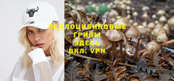 ECSTASY Богородицк