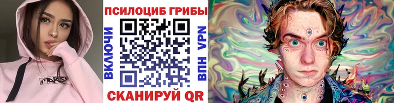 hydra   Новочеркасск  Галлюциногенные грибы Psilocybe  купить наркоту 